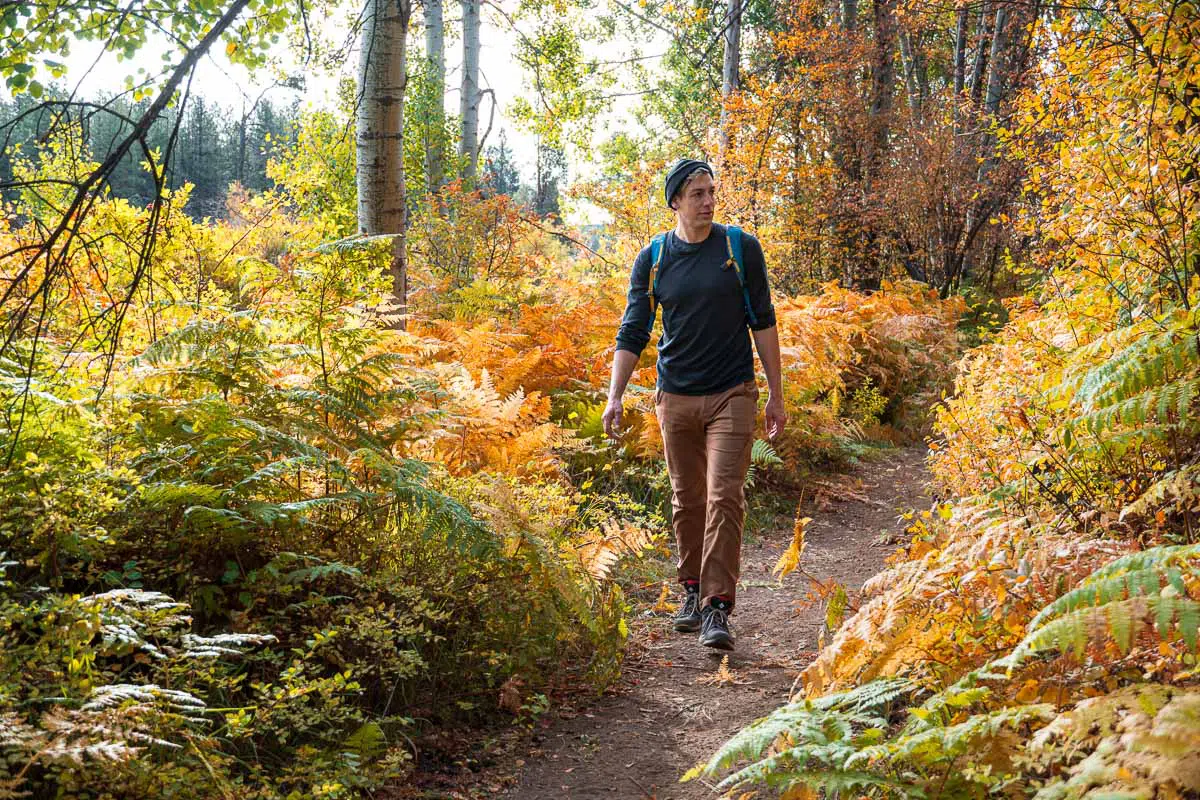 What to Wear Hiking in Fall – Bearfoot Theory
