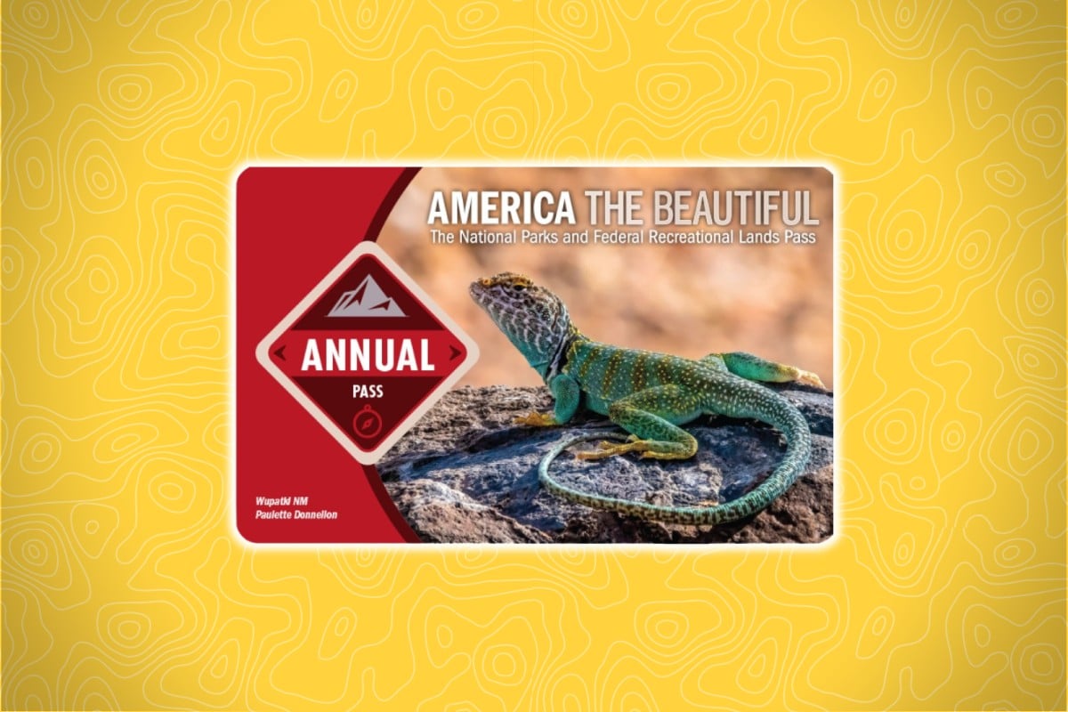 An "America the Beautiful" annual pass features a vibrant image of a colorful lizard on a rock, with text indicating its use for National Parks and Federal Recreational Lands, set against a yellow background with a topographical map pattern.