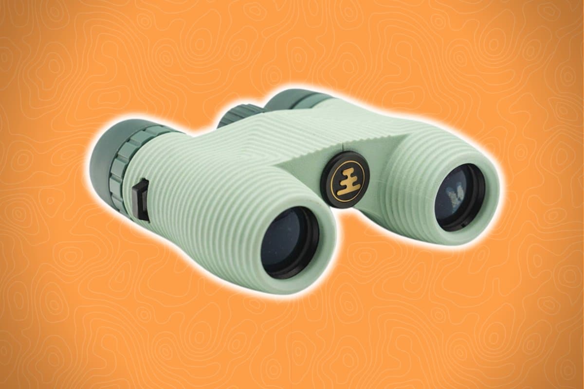 A pair of light green binoculars with dark green eyepieces and a central hinge is set against an orange background with a subtle, abstract pattern.